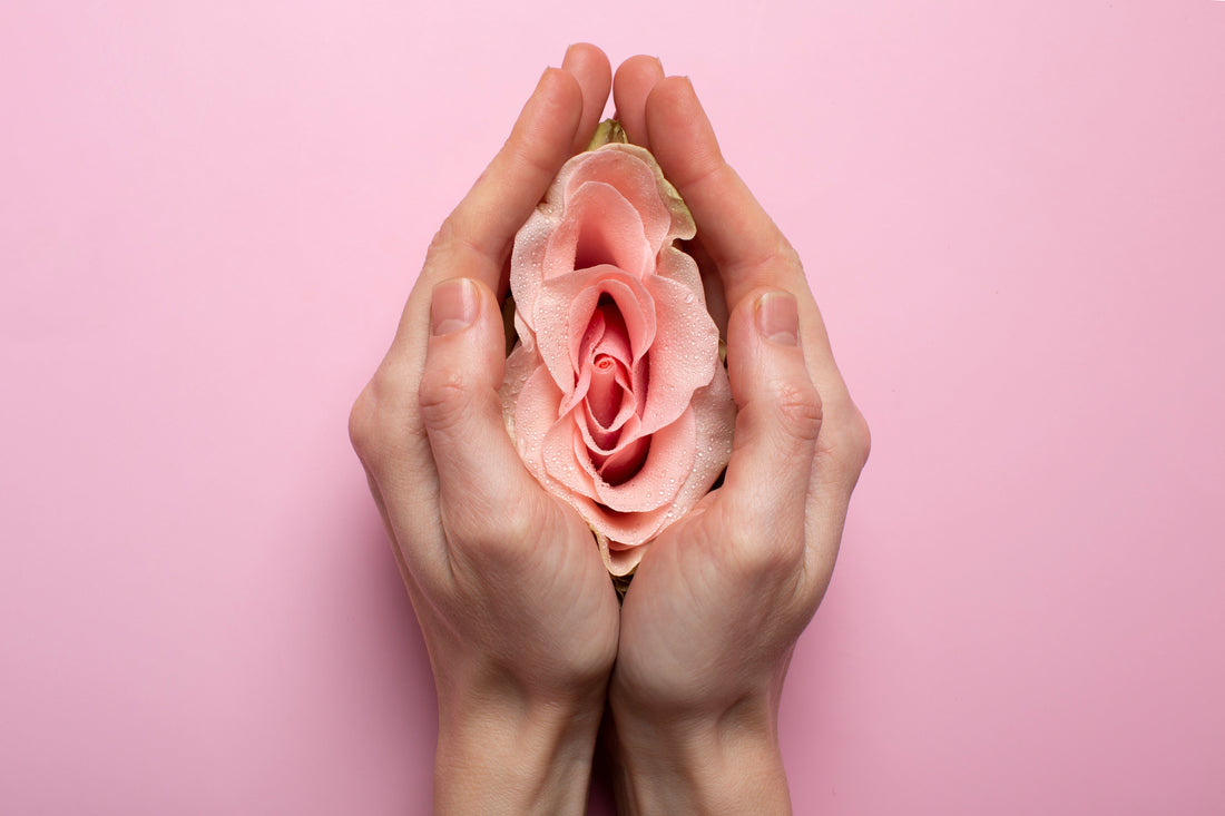 Les lésions obstétricales du sphincter anal (LOSA) : mieux comprendre pour mieux accompagner les femmes
